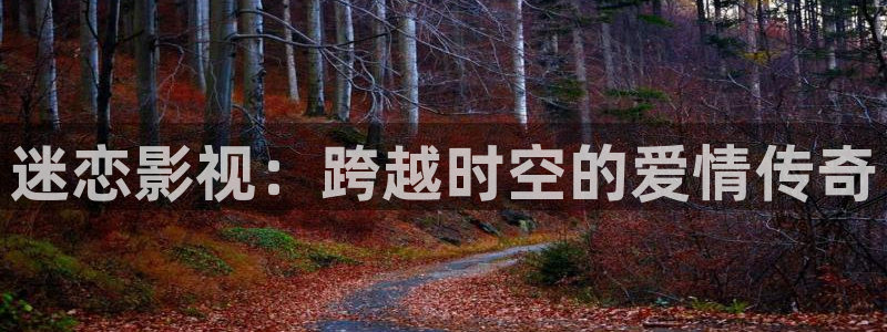 迷恋影视：跨越时空的爱情传奇