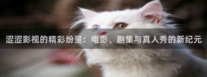 涩涩影视的精彩纷呈：电影、剧集与真人秀的新纪元