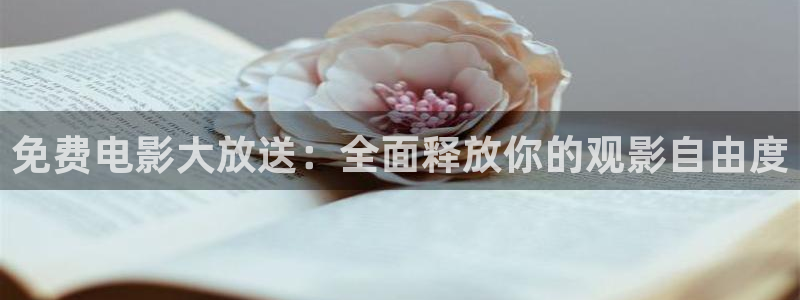 免费电影大放送：全面释放你的观影自由度