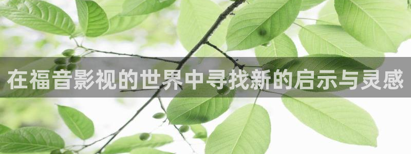 在福音影视的世界中寻找新的启示与灵感