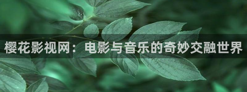 樱花影视网：电影与音乐的奇妙交融世界