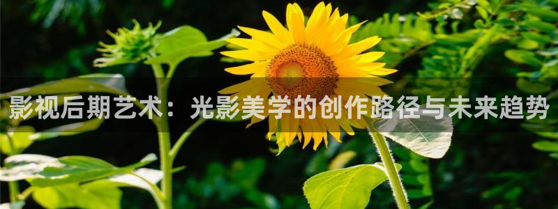 影视后期艺术：光影美学的创作路径与未来趋势