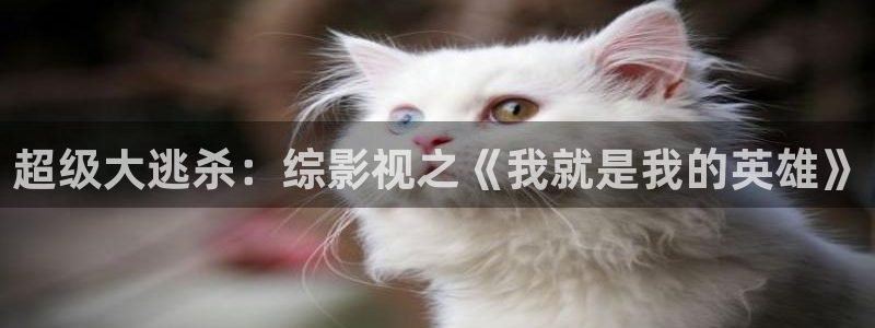 超级大逃杀：综影视之《我就是我的英雄》