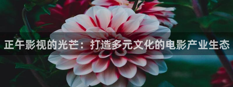 正午影视的光芒：打造多元文化的电影产业生态