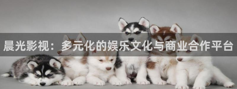 晨光影视：多元化的娱乐文化与商业合作平台