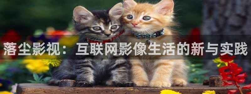 落尘影视：互联网影像生活的新与实践