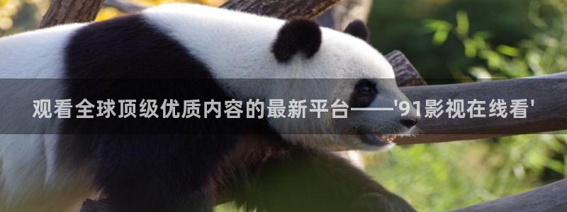 观看全球顶级优质内容的最新平台——\'91影视在线看\'